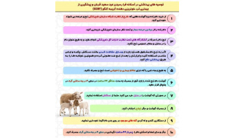 تب کریمه کنگو