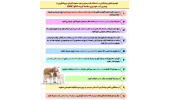 تب کریمه کنگو