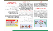 ویروس اچ آی وی و راههای انتقال آن