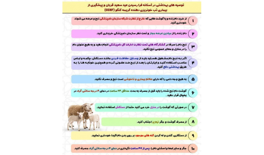 تب کریمه کنگو